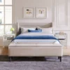Queen Size Upholstered Wood Storage Platform Bed Frame With Storage Ottoman Bench-ModernLuxe -ModernLuxe GUEST 01b5e270 7efa 49cb a544 0e918982680e