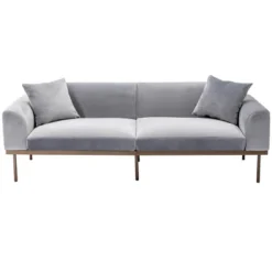Modern Velvet Loveseat Sofa With Metal Legs And Two Pillows-ModernLuxe -ModernLuxe GUEST a0c26083 dfb0 4b01 8d08 97e0614cc543